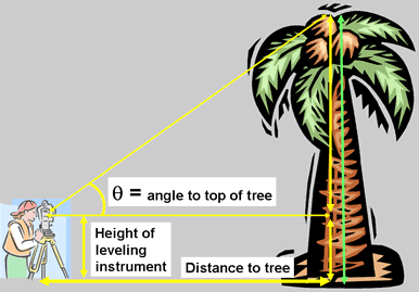 Picture of surveying instrument measuring height of a tree