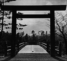 Enter through the Torii