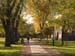 22FallCampus111607-032
