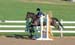 EquestrianTeam06