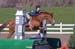 EquestrianTeam13