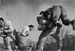 46 Football