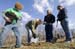 TreePlanting09