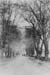 21 S College Ave