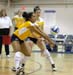 v-ball  0019