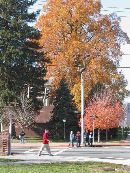 SCollege&DelAves0397