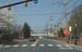 Spring041008-09
