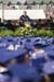 52UDCommencement07