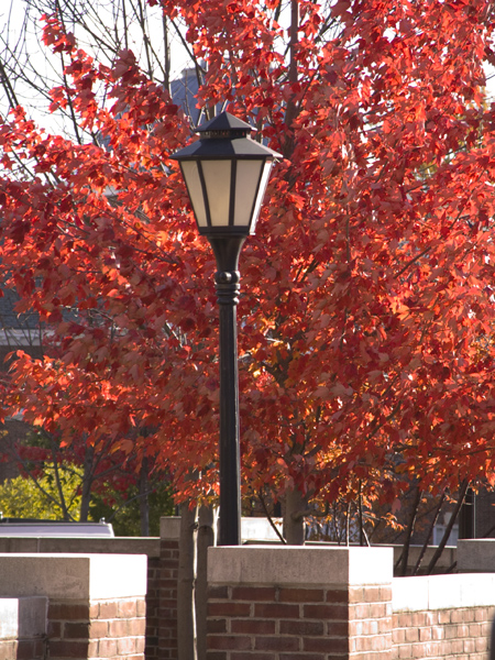 FallCampus111607-049-2