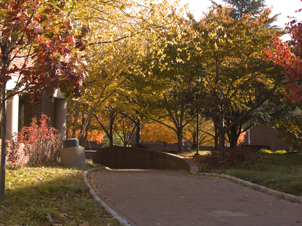FallCampus111607-051