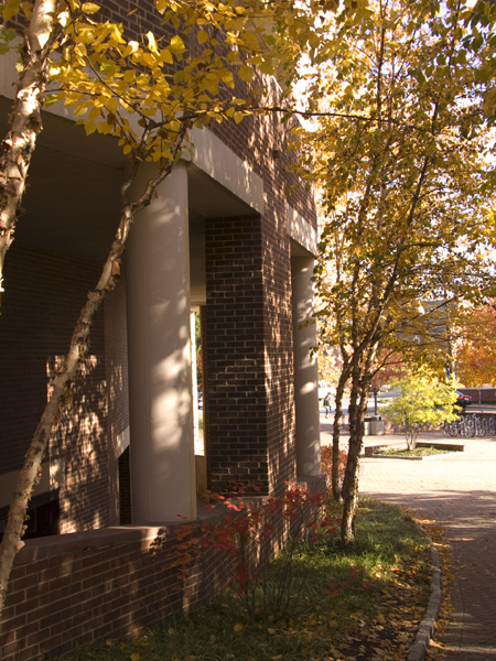 FallCampus111607-054
