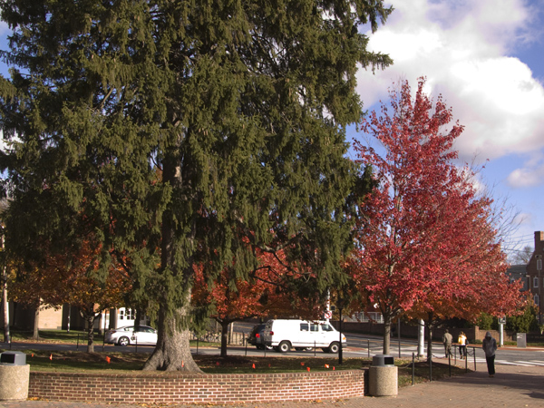 FallCampus111607-056