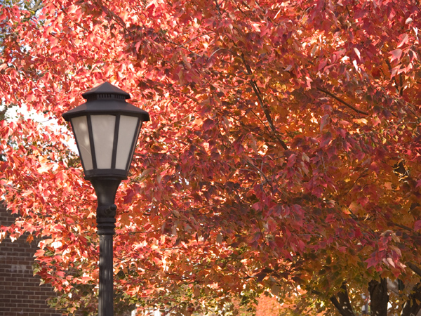 FallCampus111607-063