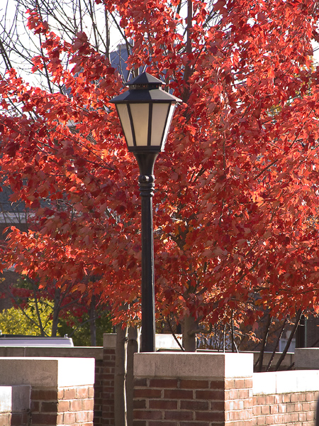 Lamp-049-2