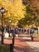 FallCampus111607-017