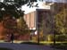 MorrisLibrary-020
