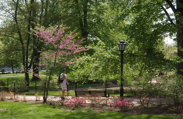031TheGrove15