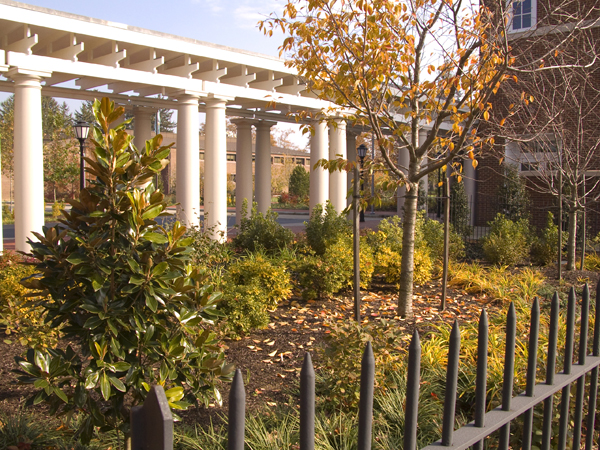 056PergolaGarden7534