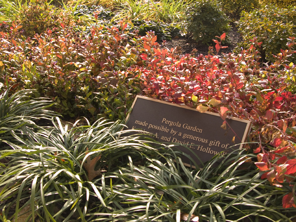 056PergolaGarden7539