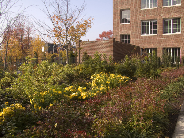 056PergolaGarden7541