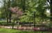 031TheGrove15