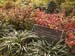 056PergolaGarden7539
