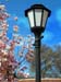 UDLampost