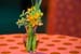 Prominence Forum - 232