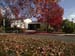 Laird-110908-15