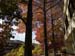 Laird-110908-22