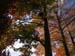 Laird-110908-23