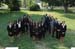McNairScholars-2008-30