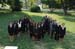 McNairScholars-2008-32