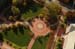 AerialsFall06-271