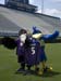 Flacco-Poe-004138