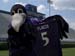 Flacco-Poe-004146