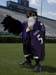 Flacco-Poe-004149