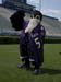 Flacco-Poe-004151