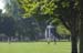TheGreen-090508-25