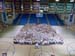 GreekNation-031608-00013-2
