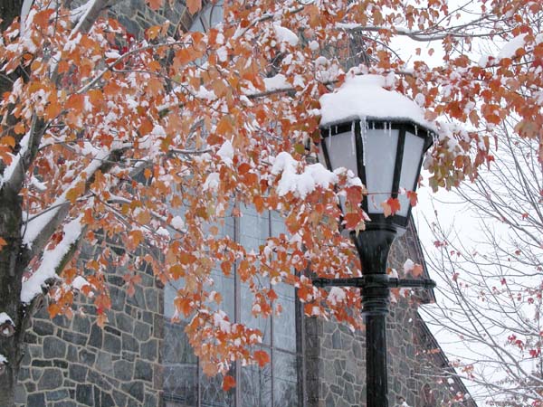 Dougherty Hall-snow003