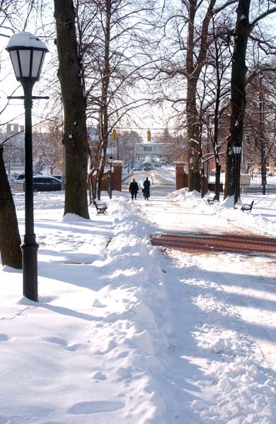 Snow-6Dec-19