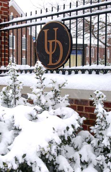 SnowDay-1