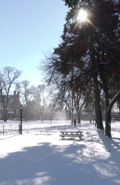 SnowDay-6Dec-24
