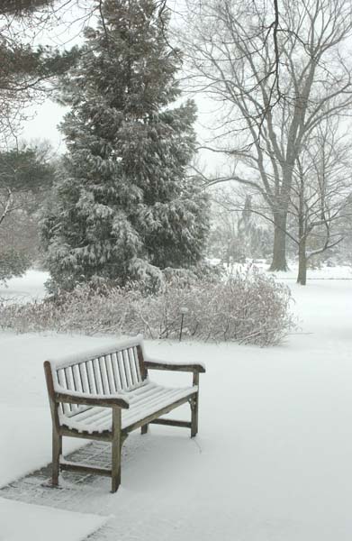 Snowstorm032