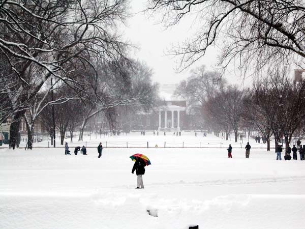 The Green-snow015