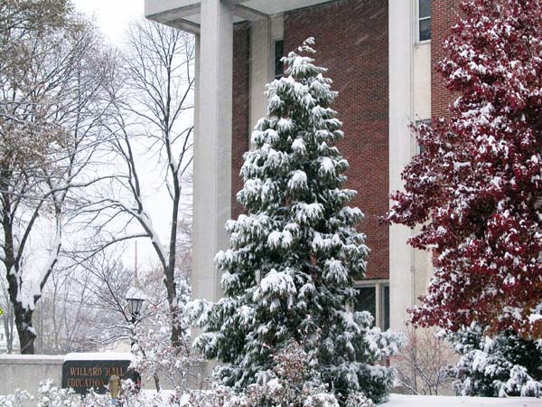 Willard Hall-snow