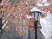 Dougherty Hall-snow003