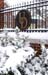 SnowDay-1