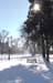 SnowDay-6Dec-24